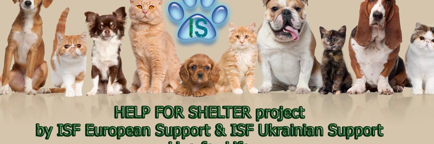 ISFUAOriginal's profile banner image