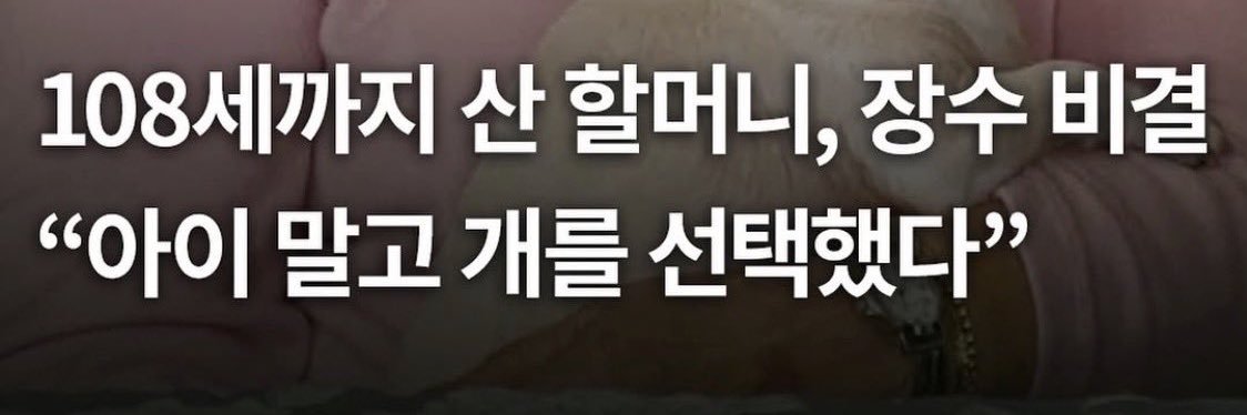 경실뮤지스 banner