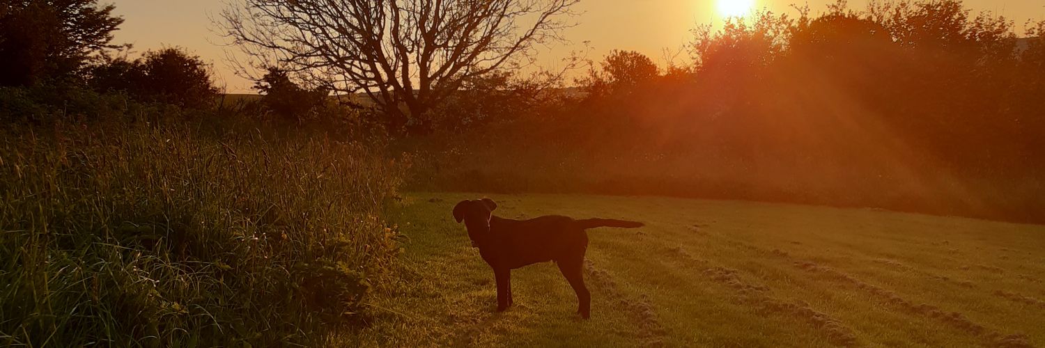 EmmaRimmer3's profile banner image