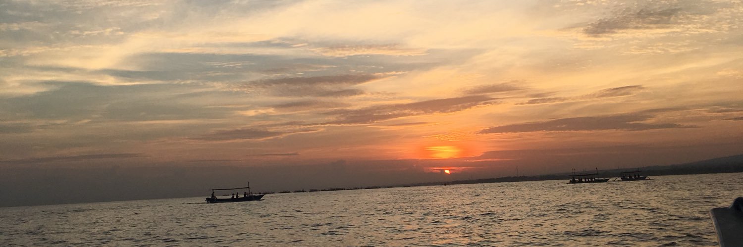 tjindj's profile banner image