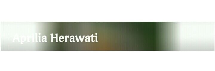 Apriliaherawt's profile banner image
