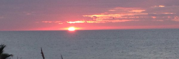 undisfi Profile Banner