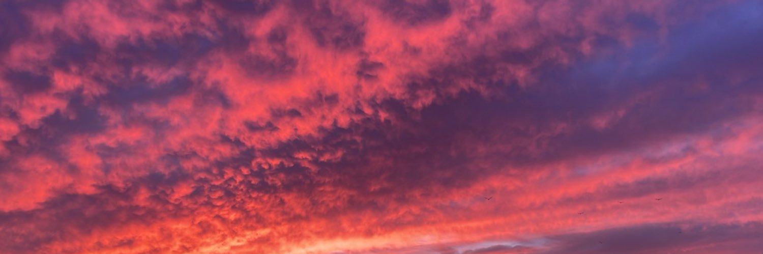 CeliaGI_'s profile banner image