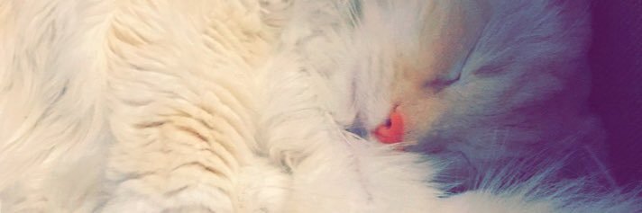 frosegard's profile banner image