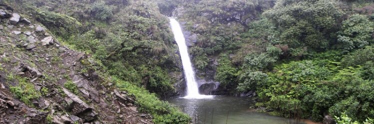 Virginio Lema Trigo banner