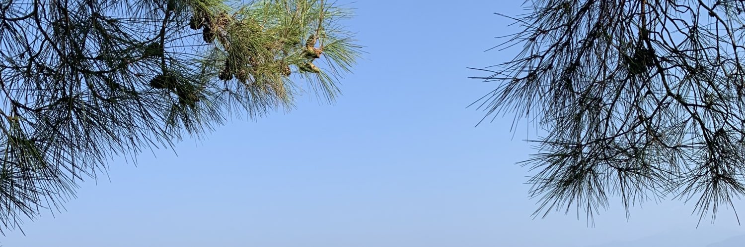 busraygunoglu's profile banner image