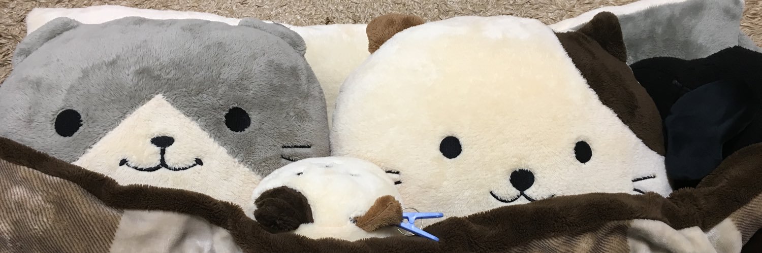 CarlinRamsus's profile banner image