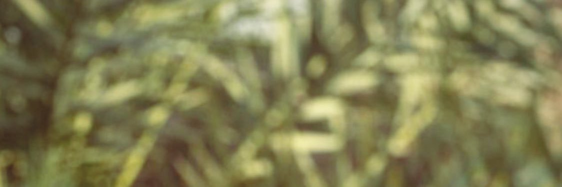 HM3011_'s profile banner image