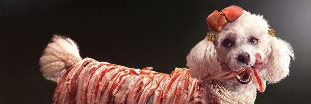 grasa_SA's profile banner image
