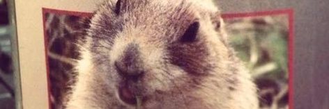 Александр Бобров banner