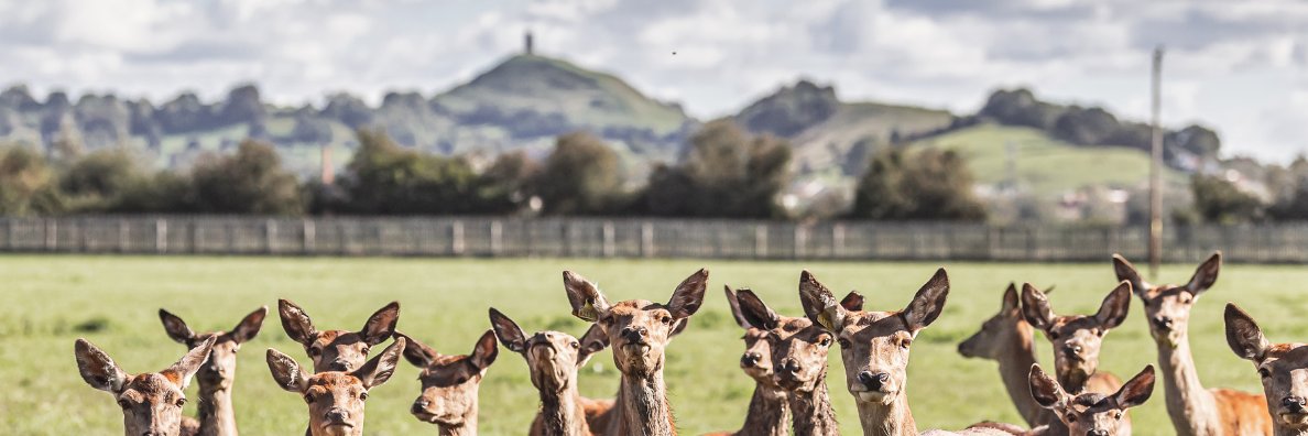 SharphamPark's profile banner image