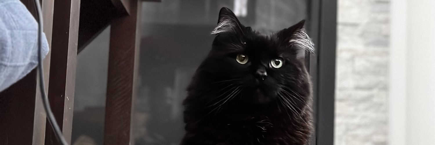alexiskateault's profile banner image