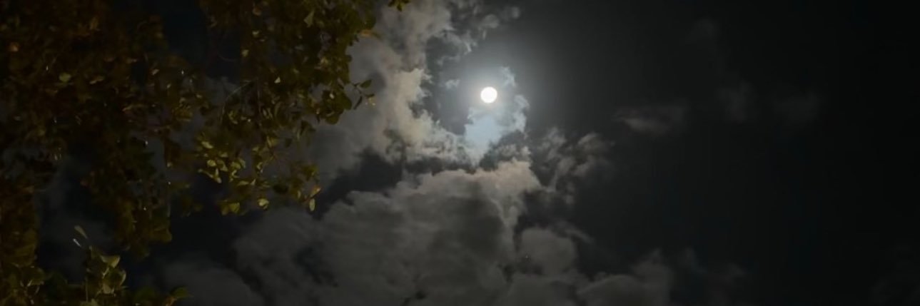 iwq222's profile banner image