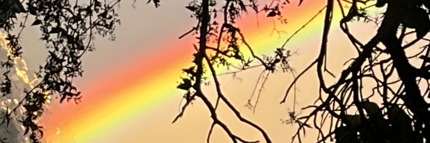 gallini_sara's profile banner image