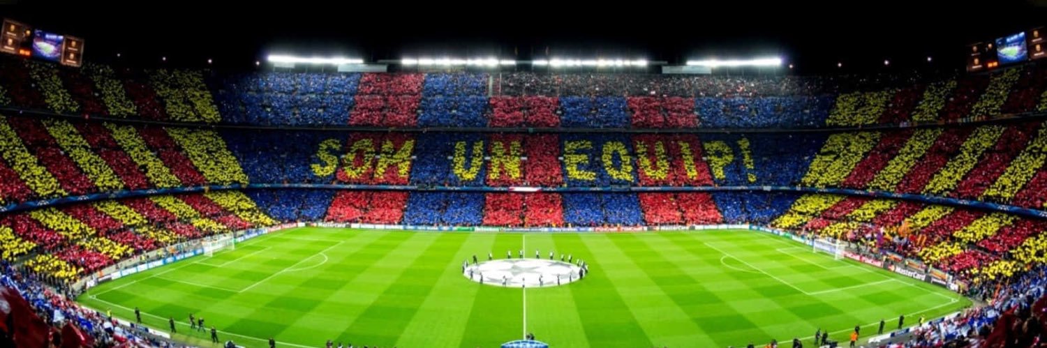 pS12 banner