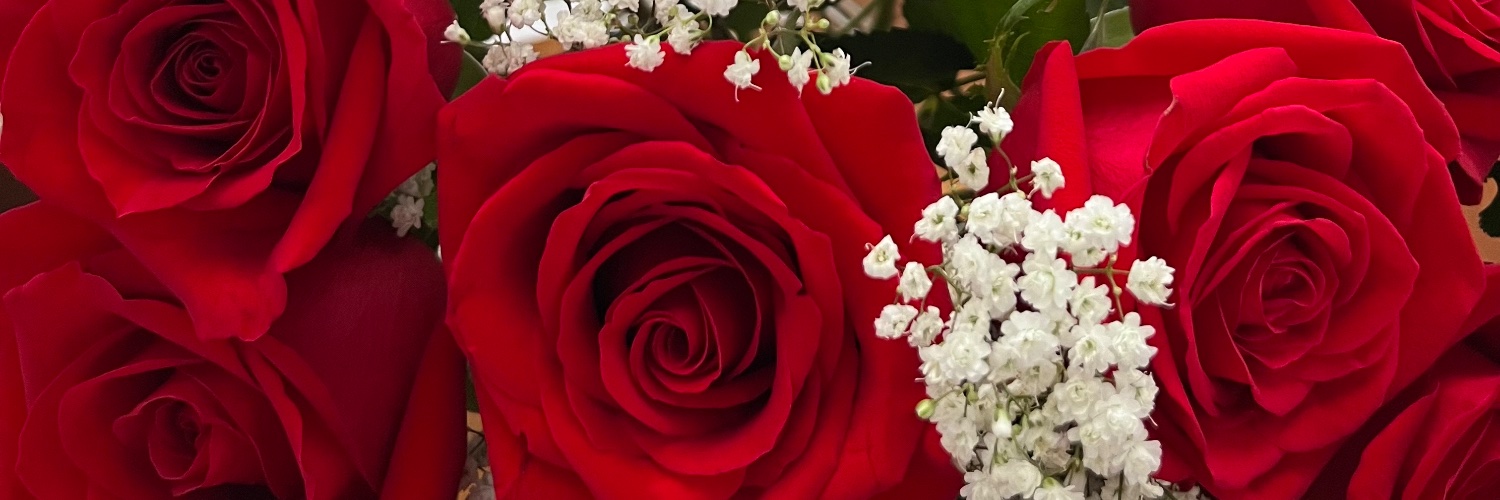 Moi 🕊 banner