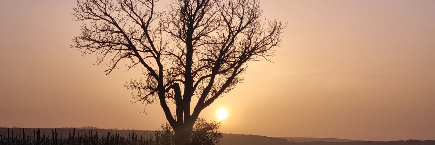 V pohodě ☕ banner