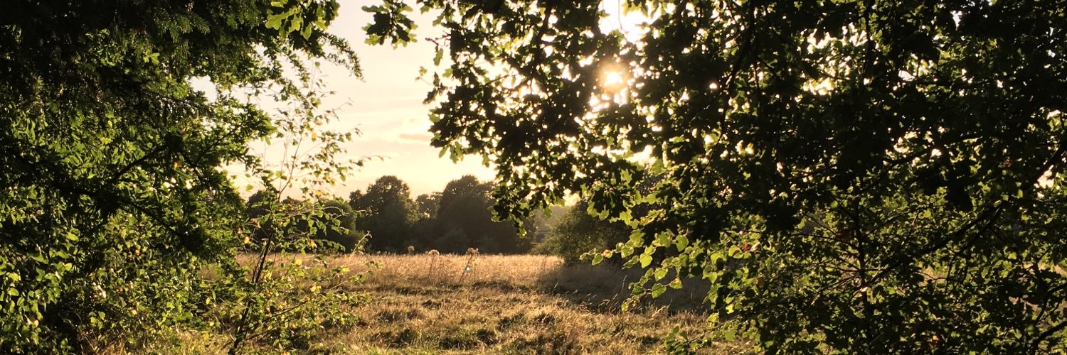 Ripley ParishCouncil banner
