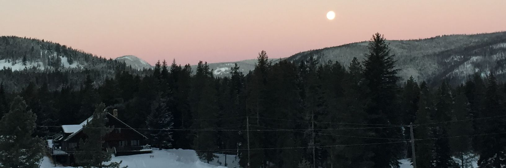 Desperately in Search of Gravitas banner