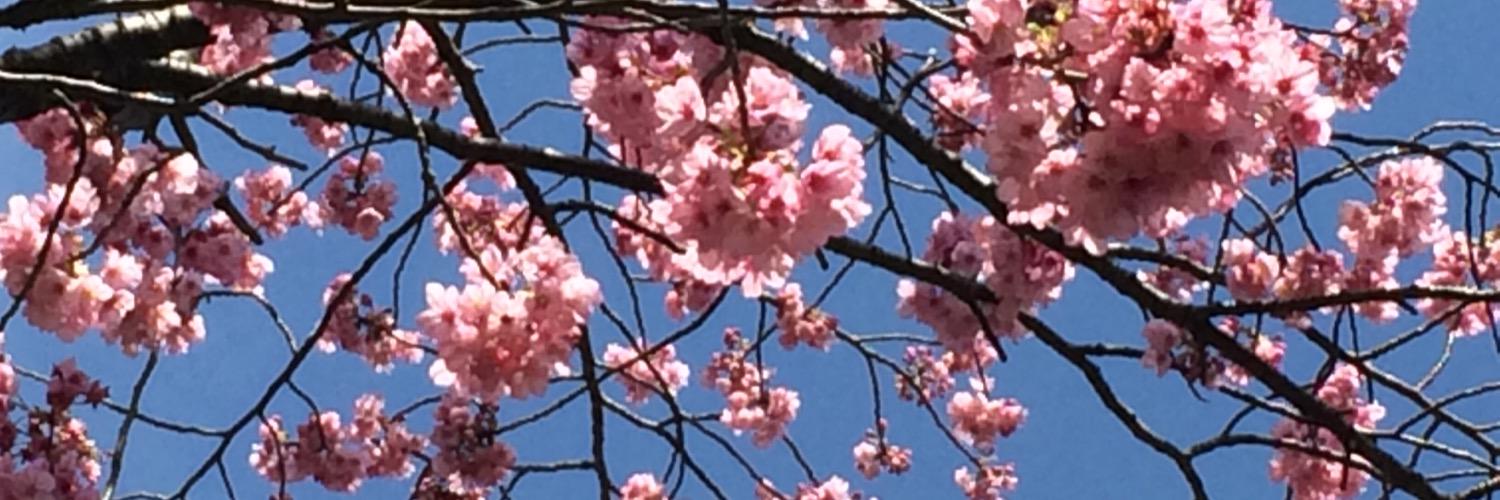 あたた banner
