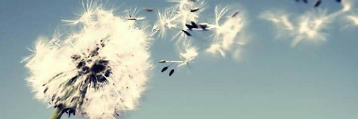 DANIELES7's profile banner image