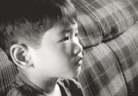 jp dzon banner