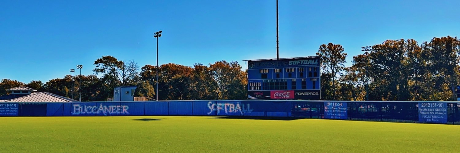 Blinn College Softball banner