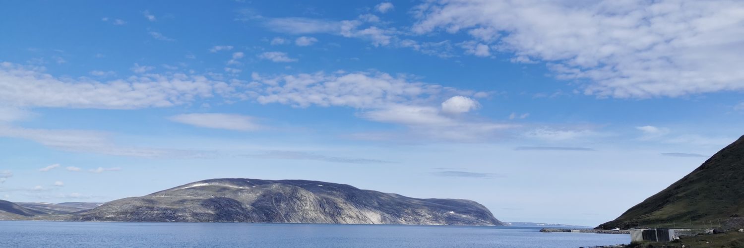 NauyaV's profile banner image