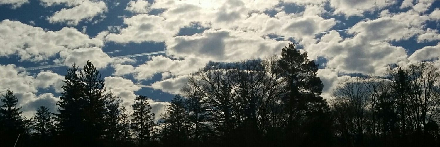 Maria Melachrinos Dunbar banner