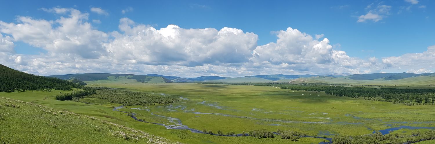 Bulgantuya.Kh banner