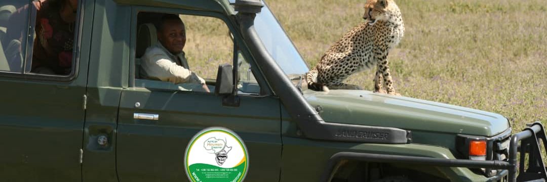 AfricanMountain's profile banner image