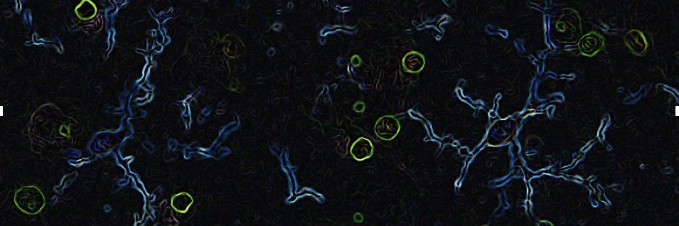 Clare Beasley banner