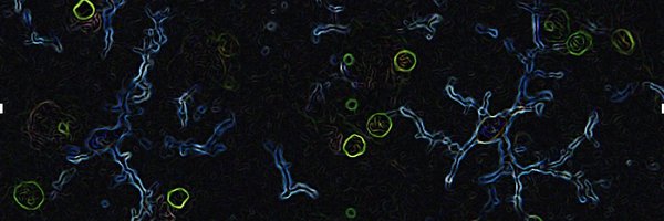 BeasleyLabUBC Profile Banner