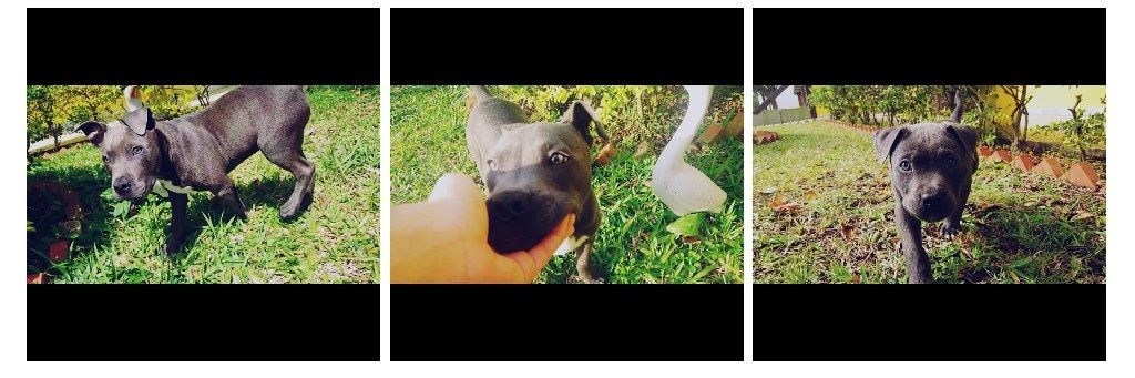 LOPES_FelipeF's profile banner image