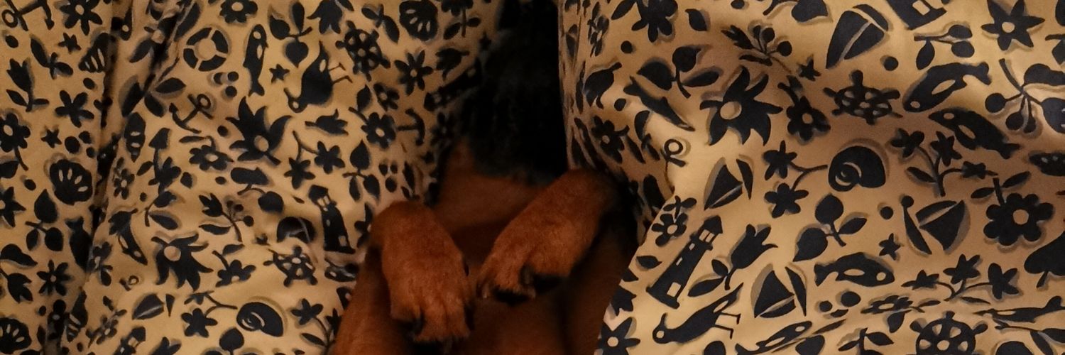 LmGslave's profile banner image