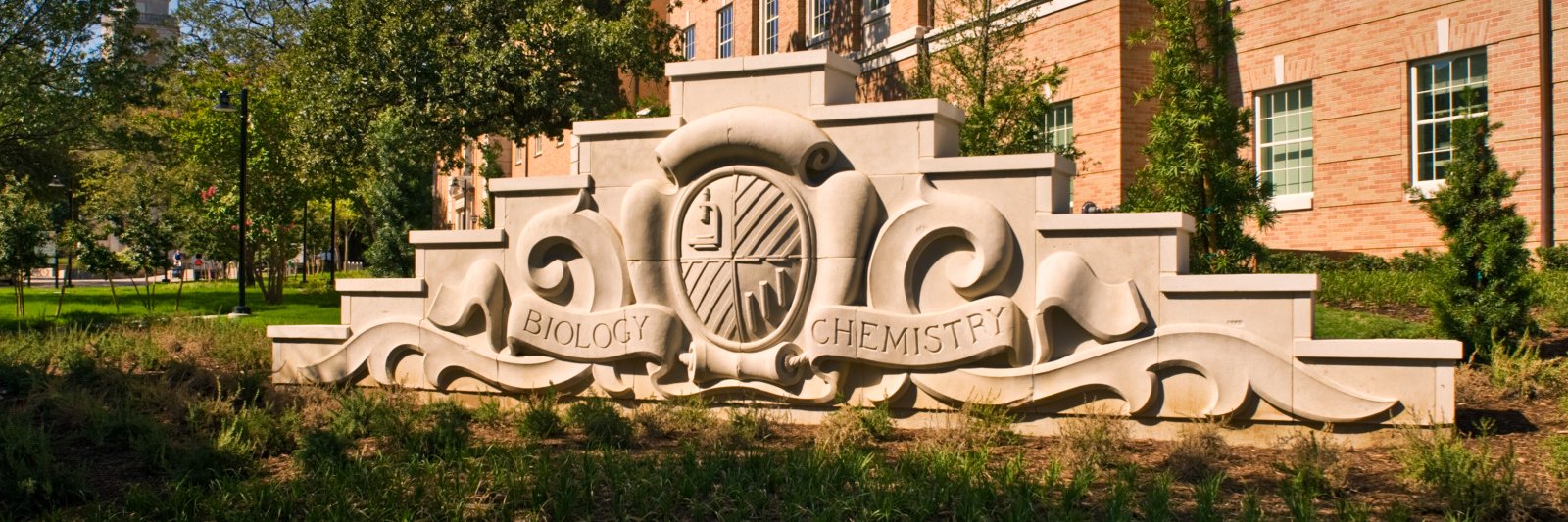 UNT College of Science's banner