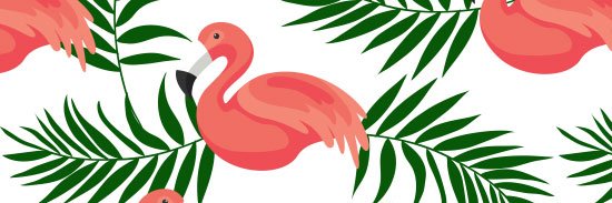 Stéphanie Raiche banner