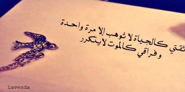 LAVENDA_R's profile banner image