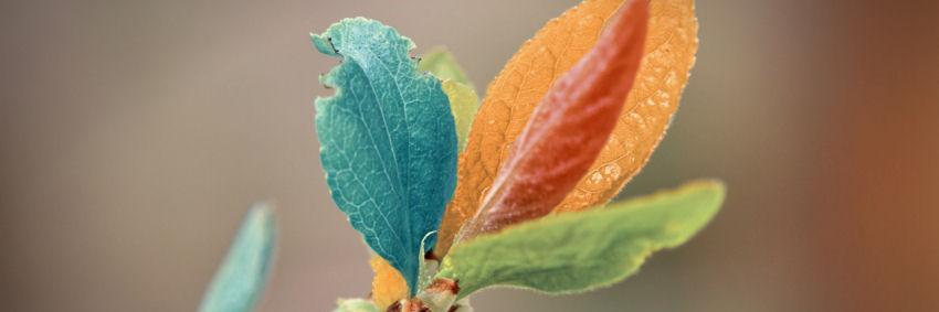 abdullahandson's profile banner image