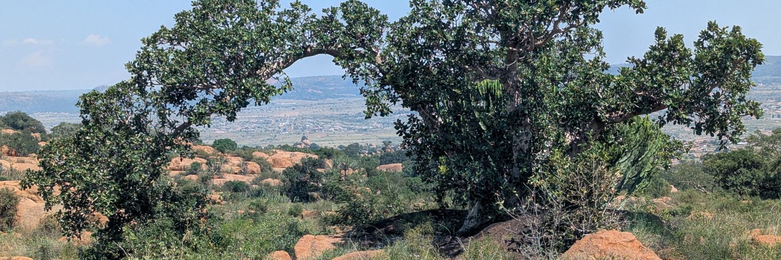 WLepota's profile banner image
