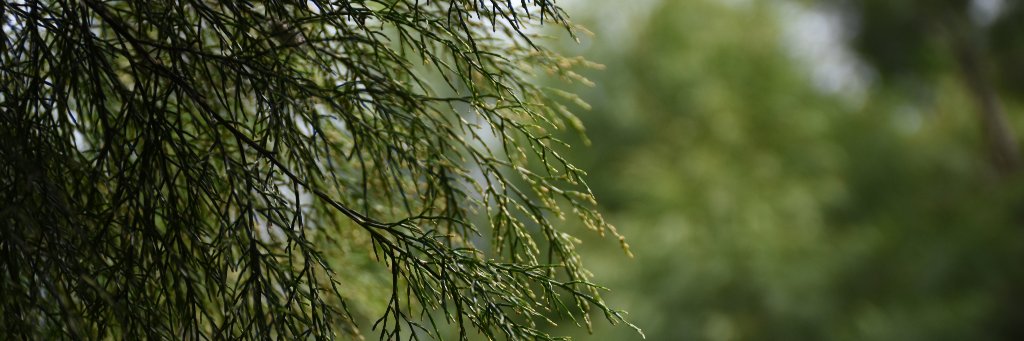Nrobbyzumar's profile banner image