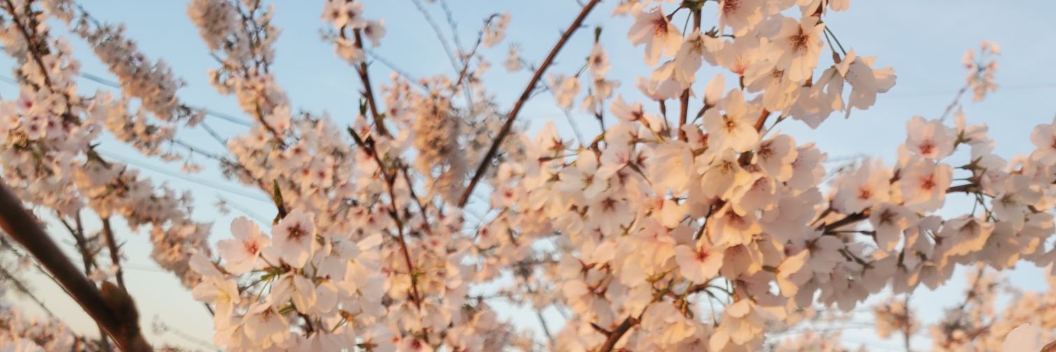 raylindsey_'s profile banner image