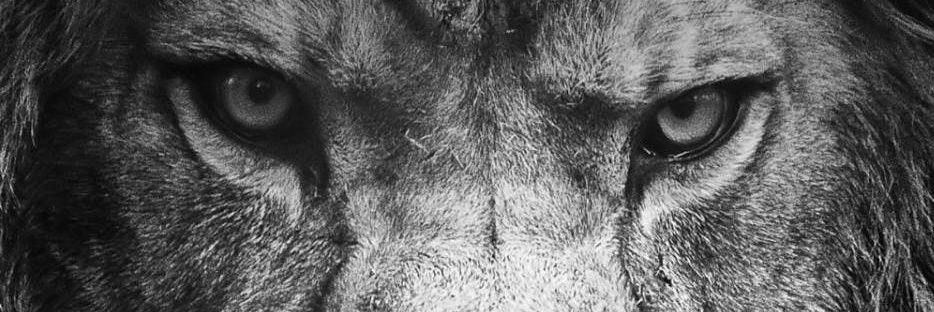 najjar9595's profile banner image
