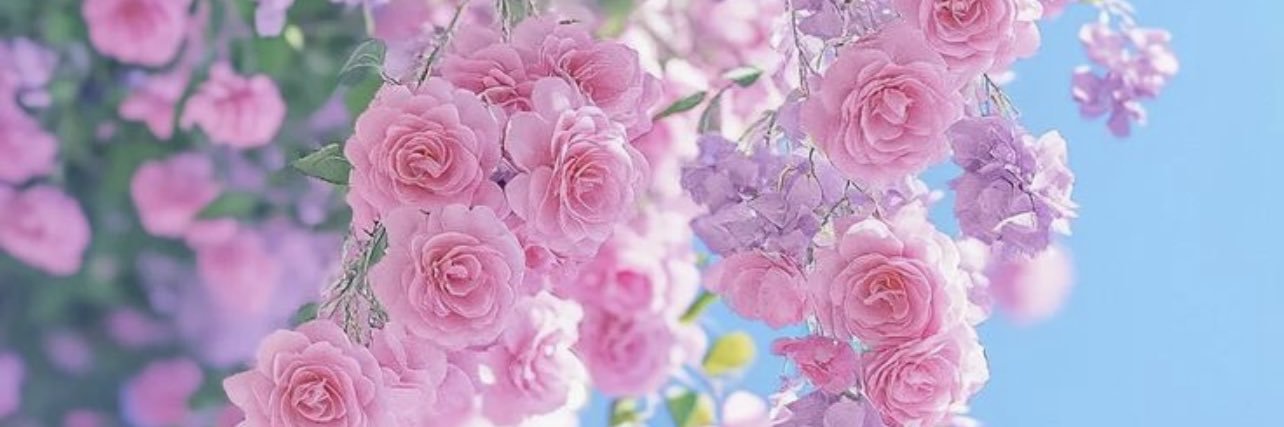 mood221241's profile banner image