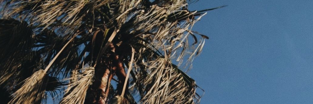 encovitada's profile banner image