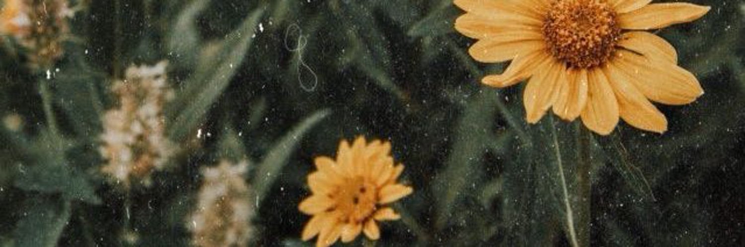 ritaamadoo's profile banner image