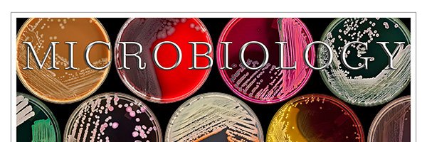 SimnerLab Profile Banner