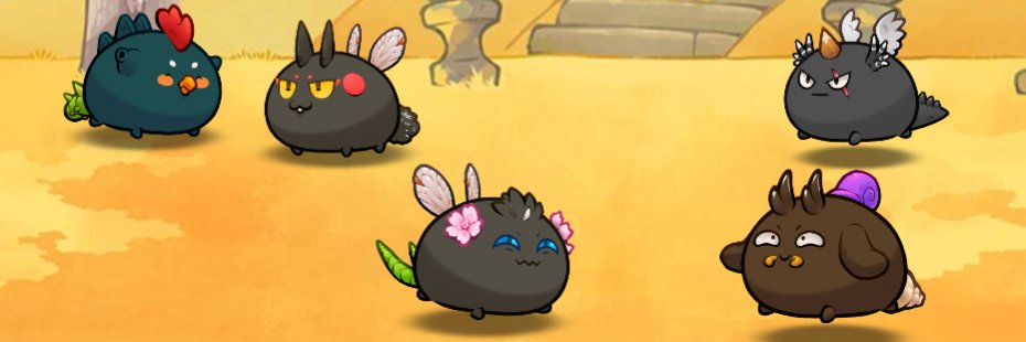 lingkarhari's profile banner image