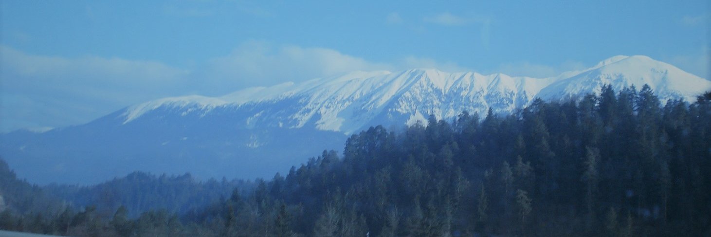 zocis's profile banner image