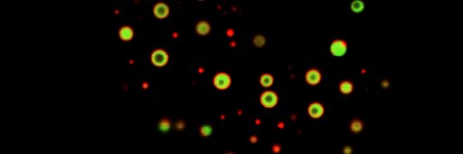 David W. Sanders! banner